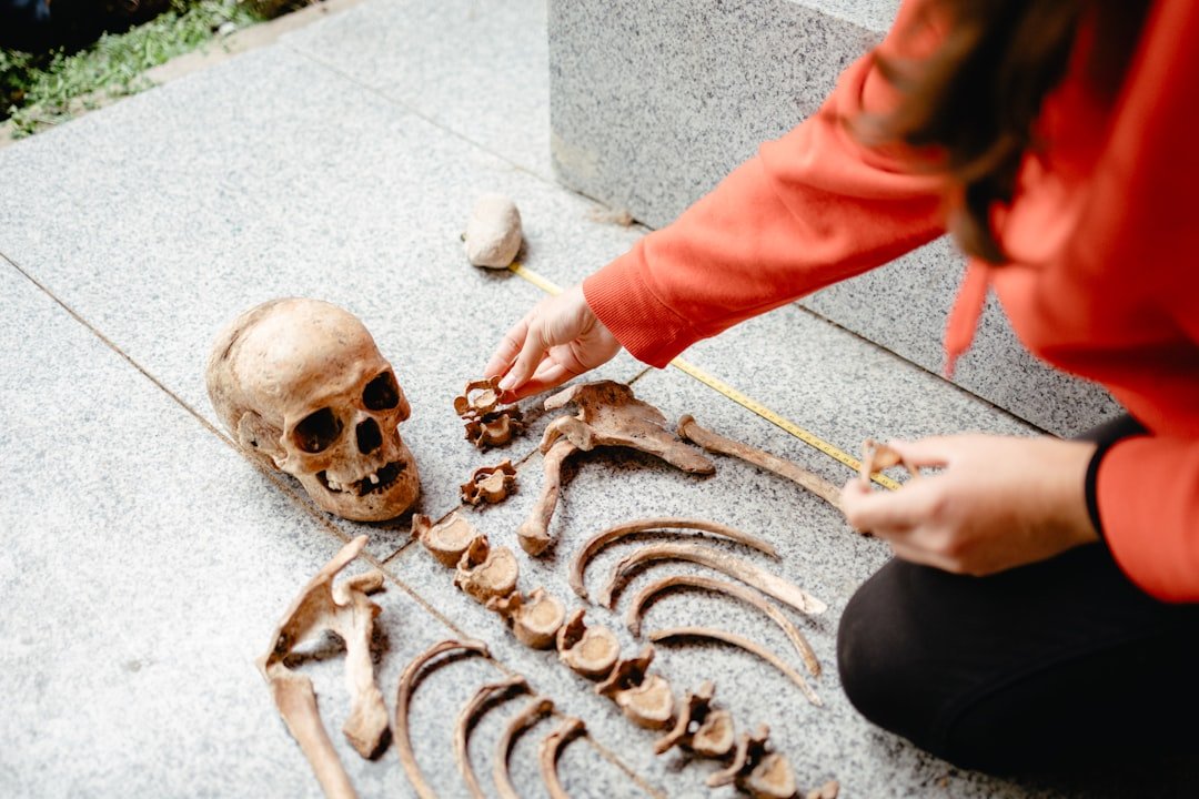 Beginner's Guide to Forensic Anthropology - American Mortuary Coolers & Equipments Beginner's Guide to Forensic Anthropology - American Mortuary Coolers & Equipments